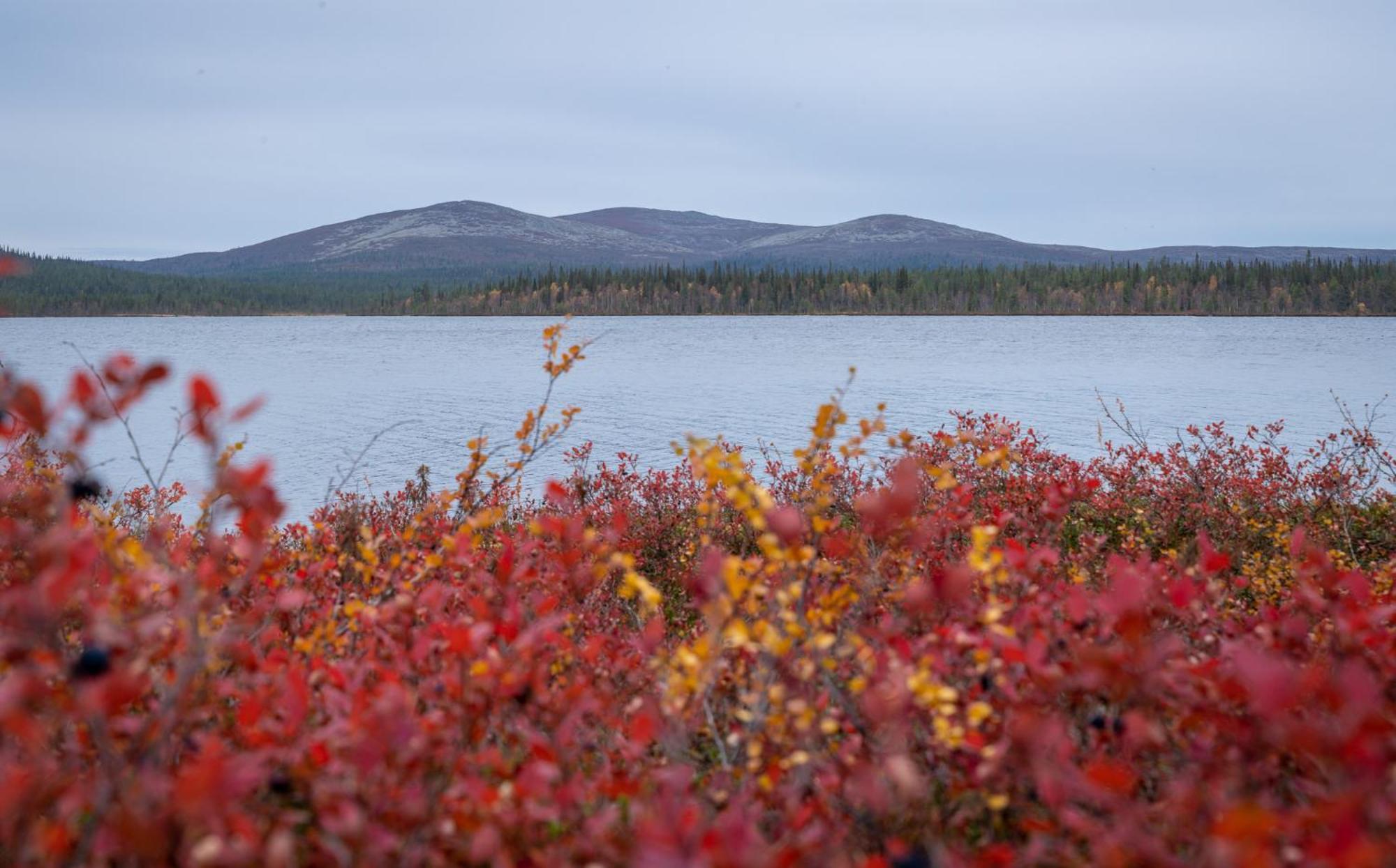 Fell Centre Kiilopaeae, Hotelli Niilanpaeae Сариселка Екстериор снимка