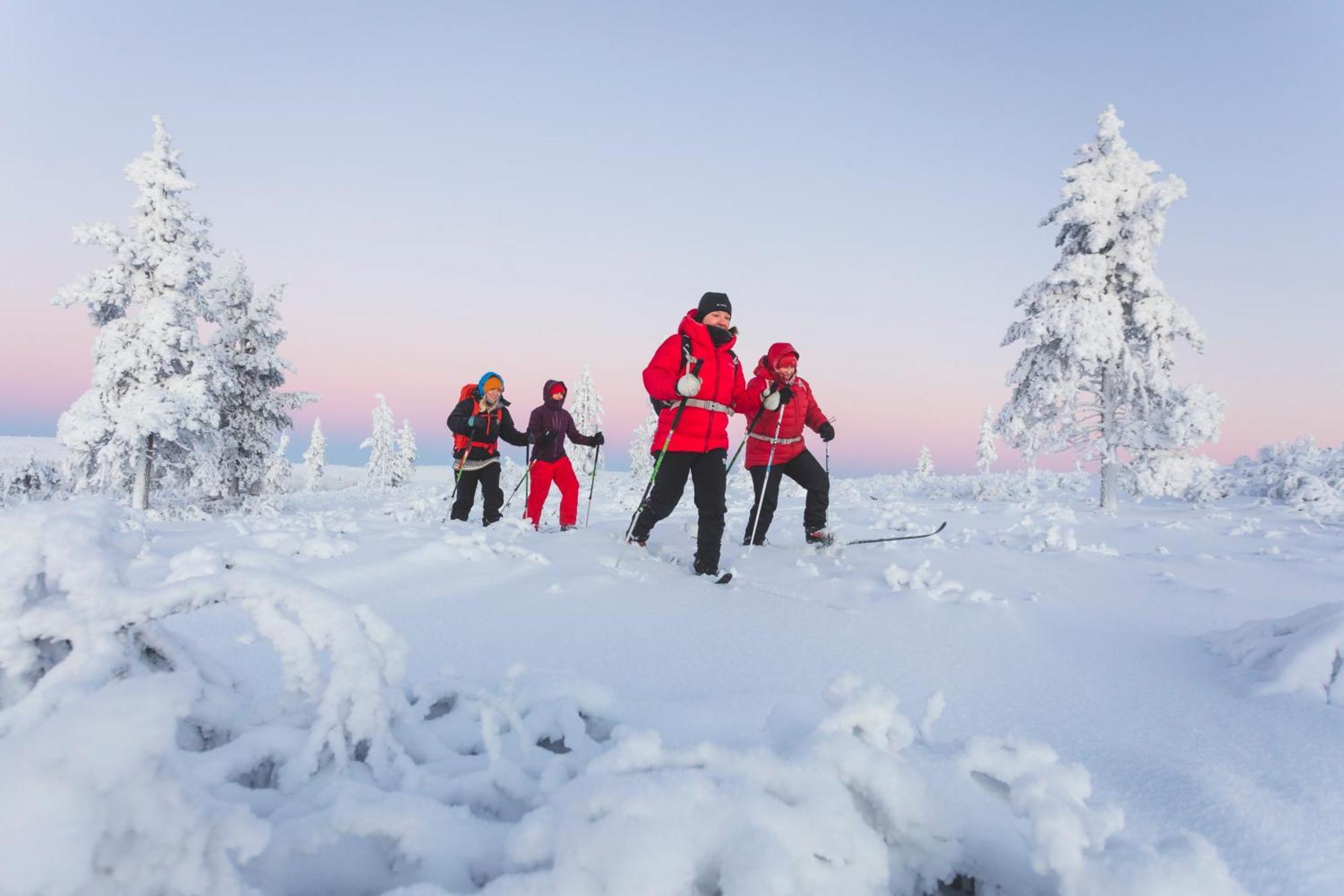 Fell Centre Kiilopaeae, Hotelli Niilanpaeae Сариселка Екстериор снимка