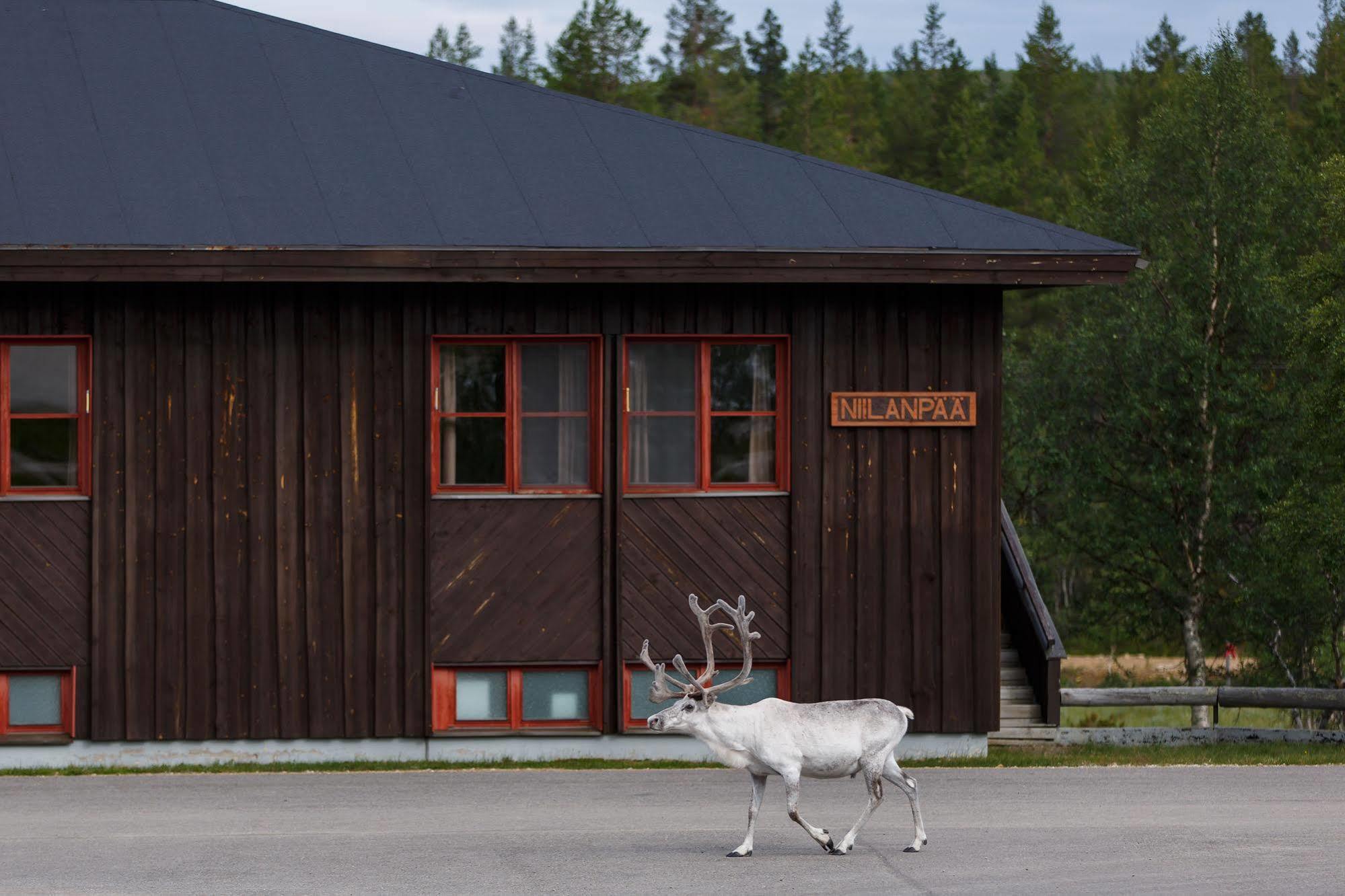 Fell Centre Kiilopaeae, Hotelli Niilanpaeae Сариселка Екстериор снимка